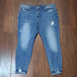 Judy Blue Distressed Skinny Fit Ankle Jeans size 20W